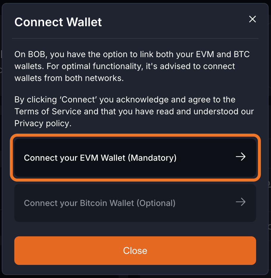 Click Connect your EVM Wallet